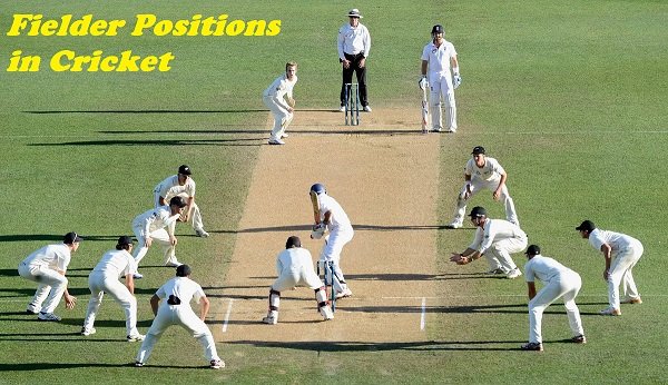 Fielder Positions in Cricket