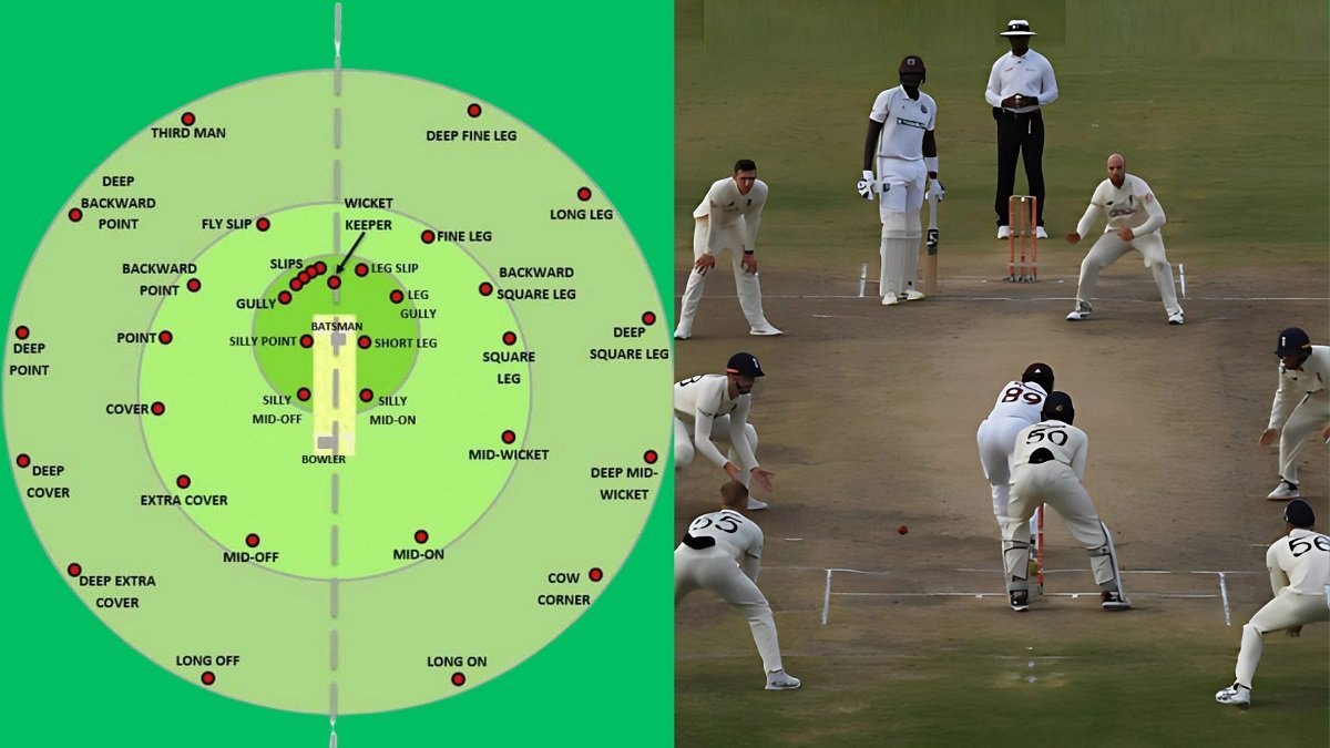 Cricket Field Placements