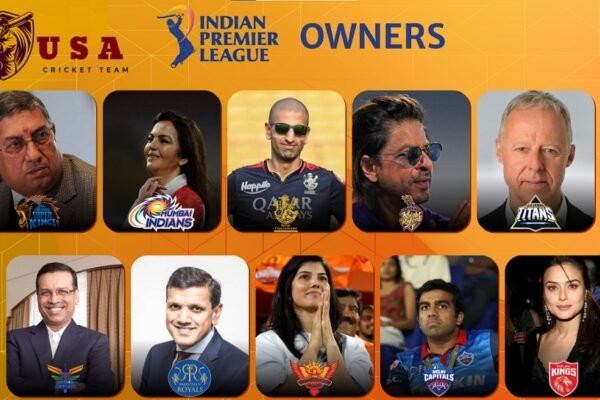 IPL team owners