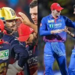 Delhi Capitals Cricket vs Royal Challengers Cricket Stats